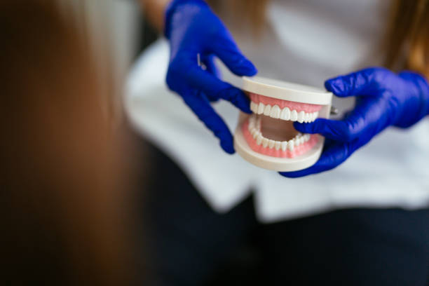 Professional  Holistic Dental Services in Laurel, FL